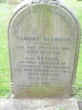 image of grave number 235731